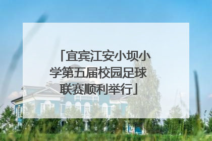宜宾江安小坝小学第五届校园足球联赛顺利举行